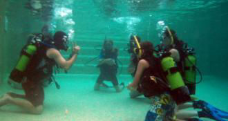 Aprender - Cursos PADI
